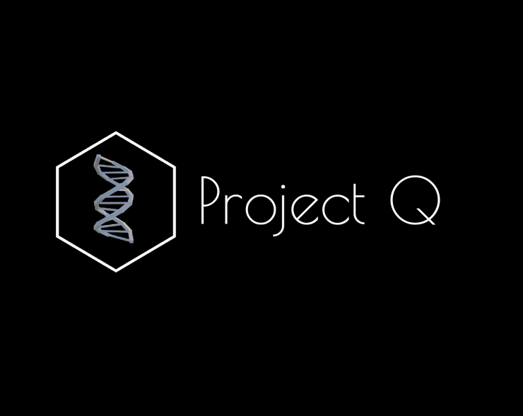 Project Q title card