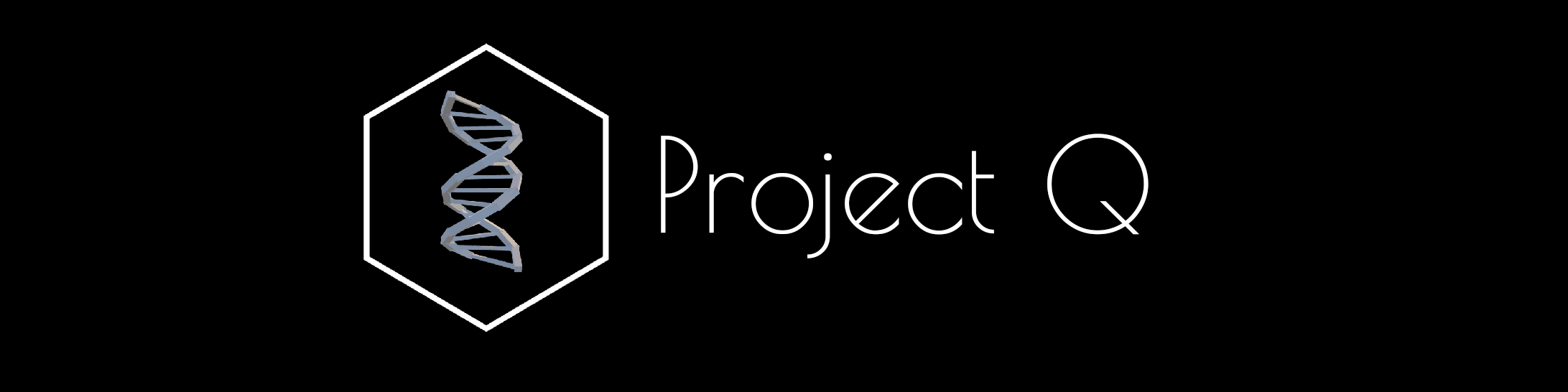 Project Q banner